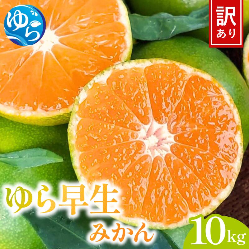 【ふるさと納税】先行予約 ≪訳あり≫ ゆら早生みかん 10kg 【2025年10月中旬～順次発送予定】/ みかん ミカン 和歌山県 柑橘 早生 甘い 蜜柑 フルーツ 果物 くだもの 食品 産地直送 由良町 ご家庭用 ゆら早生 早生みかん