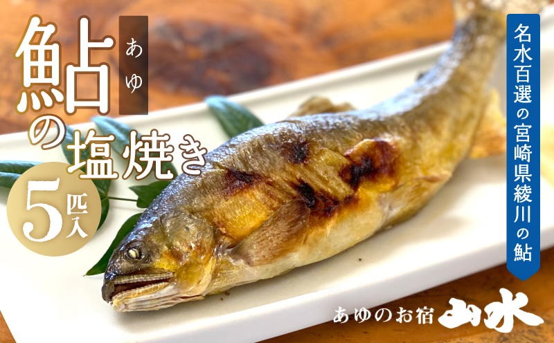 鮎 塩焼き 焼き鮎 5匹 冷凍 香ばしい_0015-017