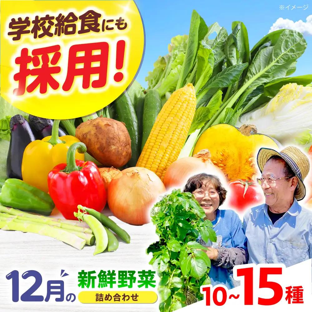 高槻野菜おまかせ詰め合わせセット 12月（10種〜15種）[AOCS018] 野菜セット