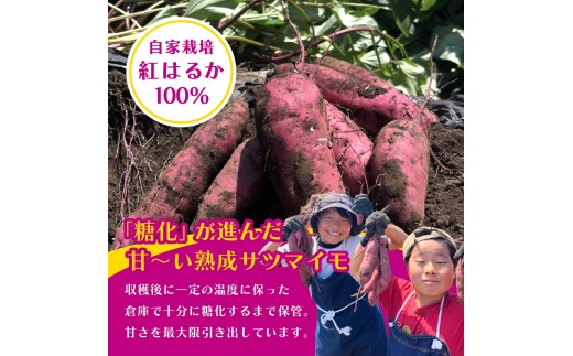 【先行受付】干しいも 平干し800g(400g×2袋) 紅はるか【発送：3月以降】はらや干しいも工房｜干し芋 800g 紅はるか 平干し  国産 干しいも さつまいも スイーツ 無添加 おやつ お取り