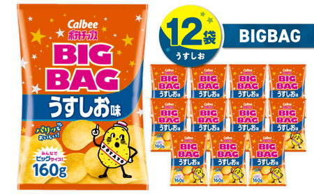 カルビー ポテトチップス BIGBAG【うすしお】12袋 K194-002_04 ポテチ チップス 菓子 お菓子 スナック スナック菓子 おやつ おかし じゃがいも うすしお 塩 塩味 薄塩 Calbee パリパリ 美味しい おいしい 酒の肴 おつまみ つまみ お子様 子供 大容量 ビッグバッグ ビッグ BIG BIGBAG セイカ食品 ふるさと納税 鹿児島 おすすめ ランキング プレゼント ギフト
