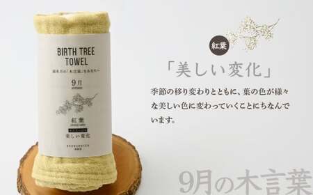 9月「紅葉(モミジ)」の木言葉 「美しい変化」 BIRTH TREE TOWEL |  ガーゼ ガーゼ ガーゼ ガーゼ ガーゼタオル ガーゼハンカチ タオル ハンカチ ふわふわ 草木染 染め RYOK