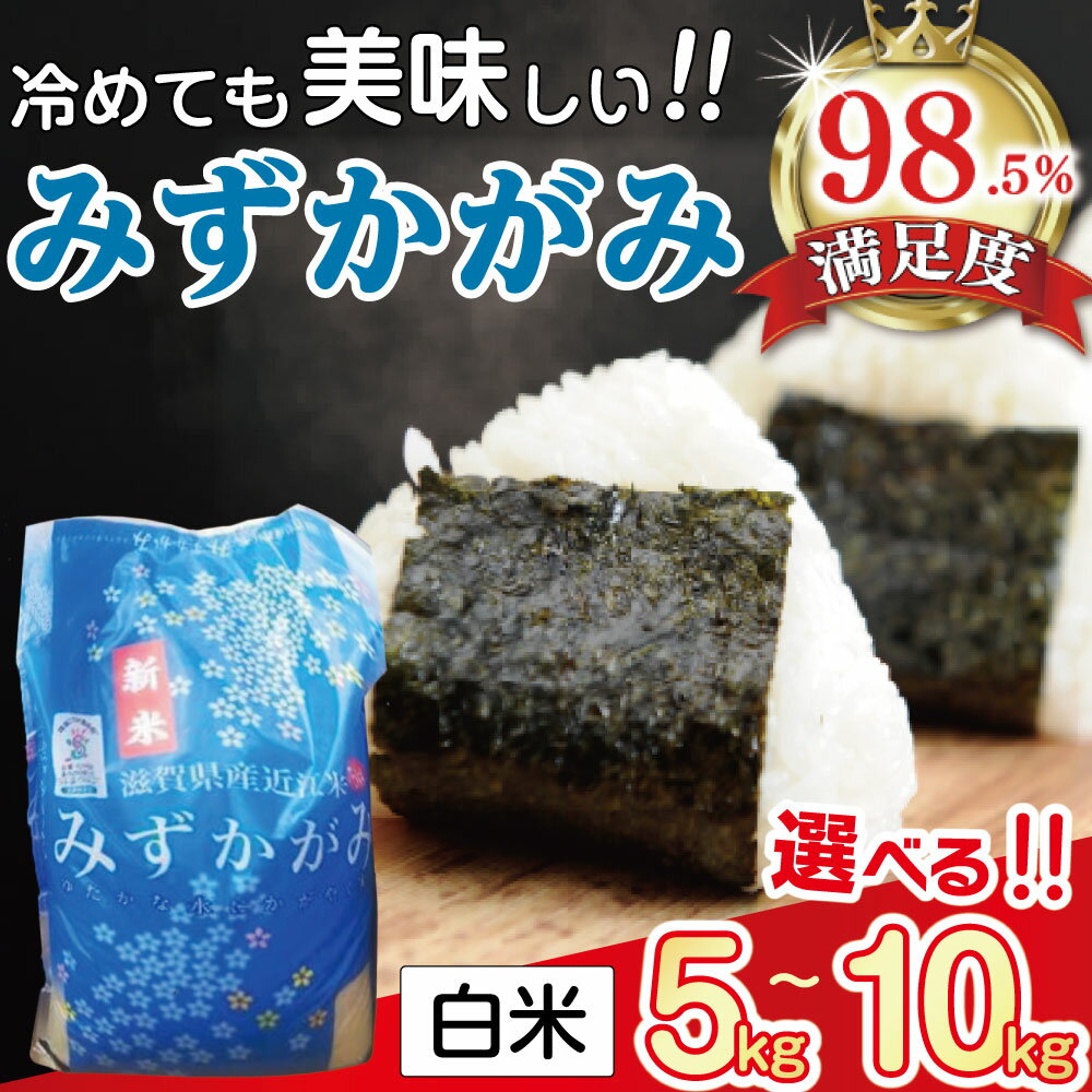 【ふるさと納税】【新米】【7年産】滋賀県近江米「みずかがみ」【環境こだわり米】白米 近江米 滋賀県産 国産 5kg / 10kg 選べる 白米