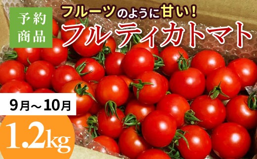 《予約品》2026年9月～10月発送フルーツのように甘い フルティカトマト 1.2kg ミニトマト トマト 野菜 令和8年度産 ※予約商品※割れ保障付 5000円