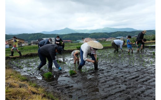 最上町の地酒　「山と水と、」生原酒と生酒セット