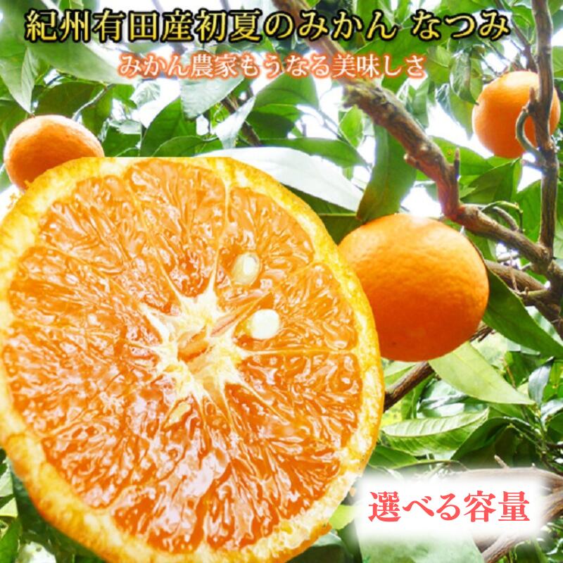 【ふるさと納税】初夏のみかん なつみ 【選べる容量】 3kg 5kg ※2026年4月中旬頃～4月下旬頃順次発送（お届け日指定不可）/ 柑橘 みかん フルーツ 果物 オレンジ 柑橘類 ミカン 人気 果実 和歌山 初夏 ポンカン