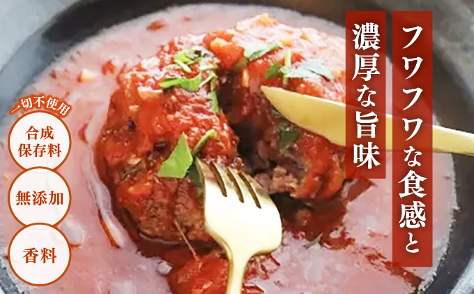 寄附額改定↓ 炭焼き国産ハンバーグ(トマトソース)230g×5個