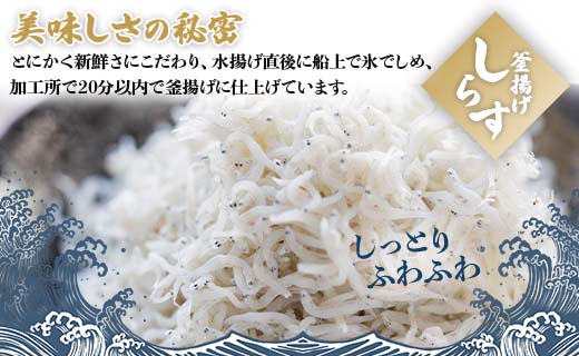 極上釜揚げしらす「銀凪」小分け20パック (合計約1kg・50g×20パック) - 小魚 さかな シラス かまあげ 丼 魚介 シーフード 選べる梱包 特産品 海産物 新鮮 ご飯のお供 おつまみ 国産 