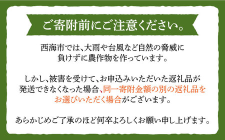 先行予約 大玉 スイカ 羅王 2玉（約12kg?16kg）＜ファームまるだ＞ [CDT006] 長崎 西海 果物 フルーツ 長崎スイカ すいか 通販スイカ お取り寄せスイカ すいか 国産スイカ 贈答ス