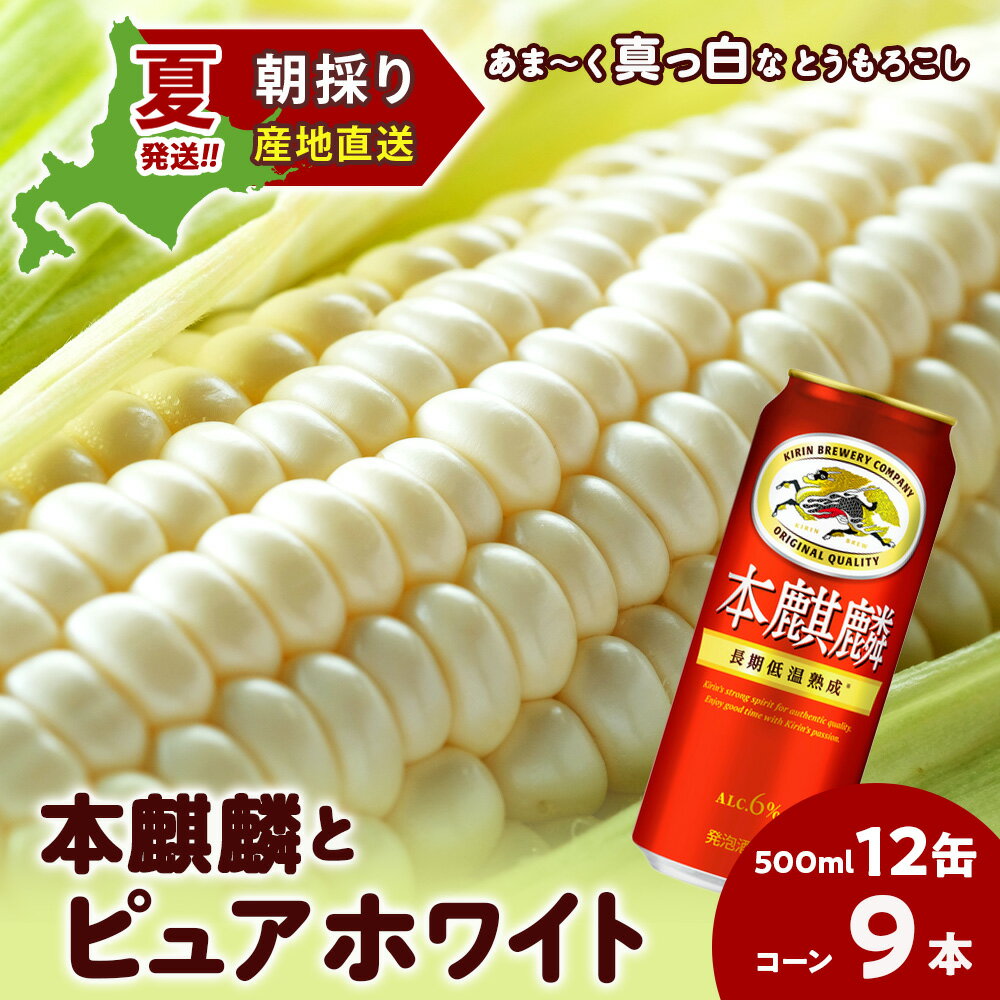【ふるさと納税】2026年夏発送 キリン本麒麟500ml 12缶＆白いとうもろこしピュアホワイト9本 北海道千歳産 野菜 とうもろこし とうきび キリンビール 麒麟ビール ビール 【北海道千歳市】ギフト ふるさと納税 KIRIN