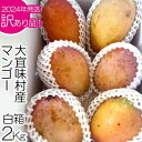 【ふるさと納税】訳あり品！！大宜味村産マンゴー【2Kg・白箱】2024年発送