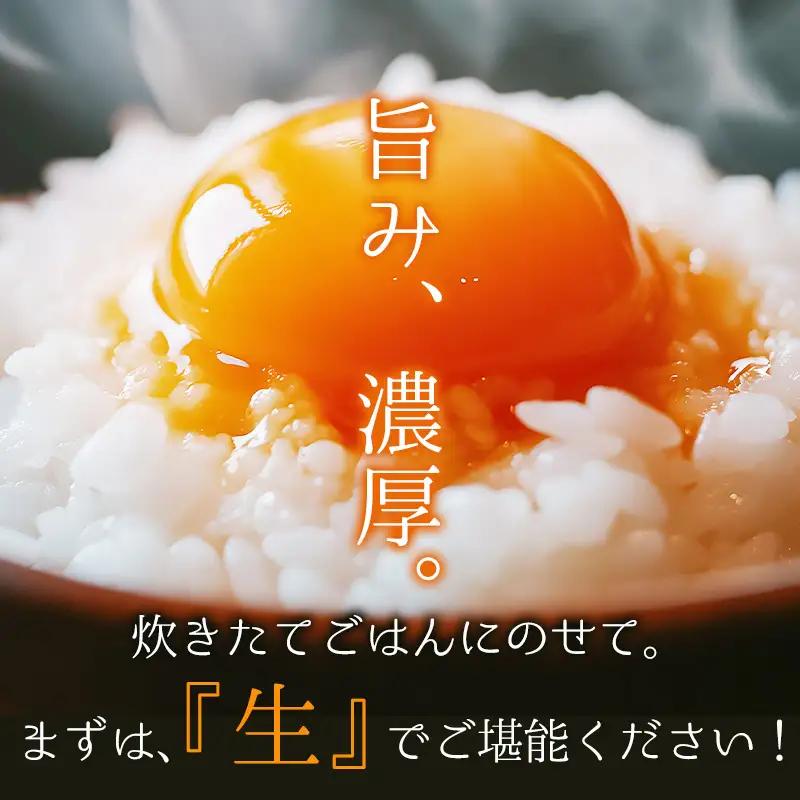 【定期便12か月】 卵 赤たまご 1440個 ： 120個×12回 たまご【配送不可地域：北海道、沖縄、離島】