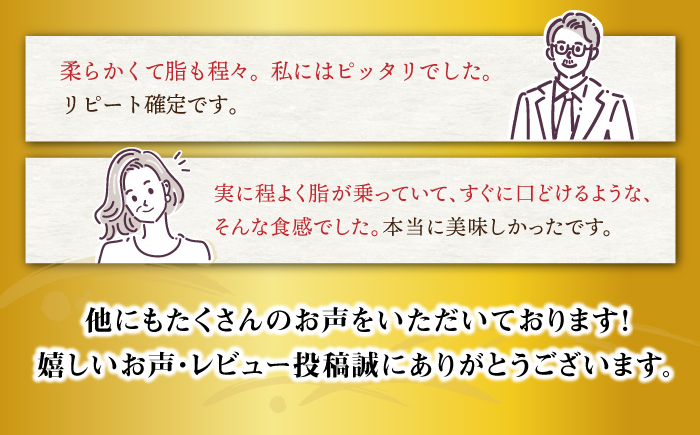 【月1回約600g×6回 定期便 】 長崎和牛 ヒレ ステーキ 計3.6kg＜大西海ファーム＞ [CEK079]