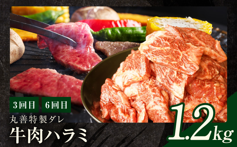 焼肉定期便 総量6.8kg（肩ロース／牛タン／牛ハラミ）全6回 丸善味わい加工【毎月発送コース】 mrzZ011