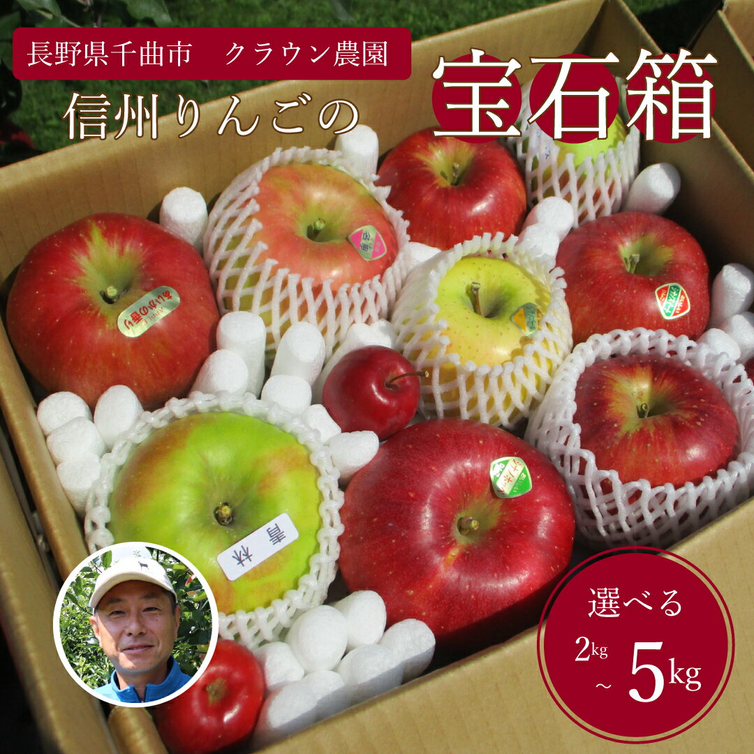 【ふるさと納税】 【2025年先行予約】りんご 詰合せ 約2~5kg（5〜18玉）りんごの宝石箱 | 産地直送 シナノスイート シナノゴールド 秋映 あいかの香り 群馬名月 王林 紅玉 シナノホッペ サンふじ 千曲市 長野県