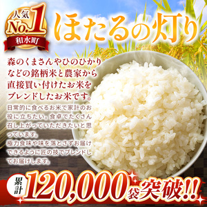 令和7年産 熊本県産 ほたるの灯り 無洗米 30kg  | 選べる 銘柄 ほたるの灯り 森のくまさん 容量 5kg 10kg 15kg 20kg 25kg 30kg 特A 小分け 訳あり 規格外 