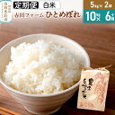 【ふるさと納税】《6ヶ月定期便》令和6年産【白米】秋田県産ひとめぼれ 10kg（5kg×2袋）