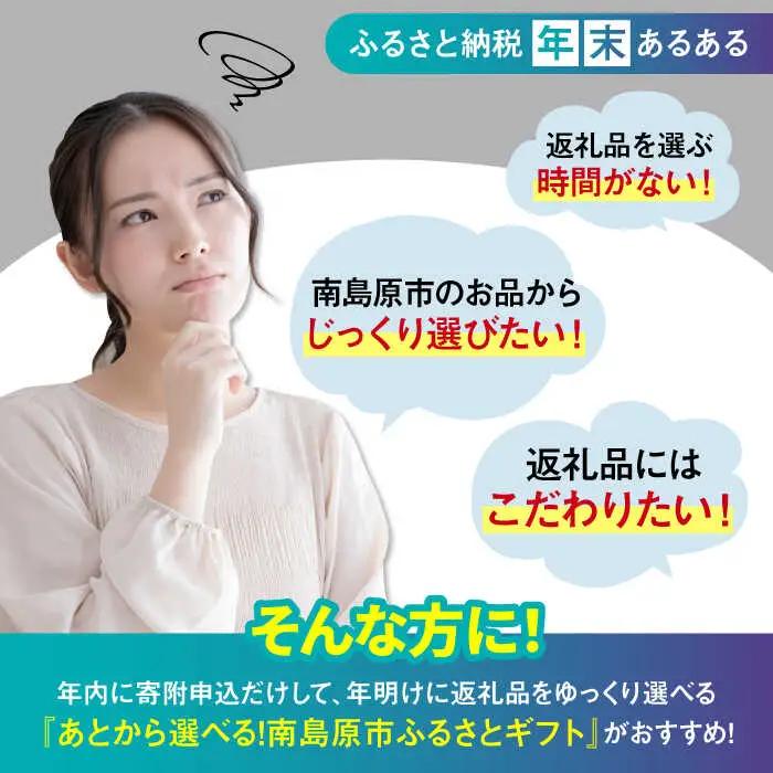 【あとから選べる】南島原市 ふるさとギフト 30万円分 / 寄付 あとから寄附 あとからギフト あとからセレクト あとからチョイス あとから選べる 長崎県 駆け込み寄附 後から選べる 後から選べるギフ