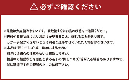 岡山県産 ニューピオーネ 2房 （1房480g以上） 約1kg 化粧箱入り 【2026年8月下旬～10月上旬迄発送予定】 果物 くだもの フルーツ ぶどう ブドウ 葡萄 岡山 おかやま 国産 冷蔵