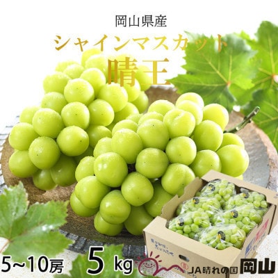 【2025年8月より発送】岡山県産　シャインマスカット　晴王　5kg(5房～10房)【配送不可地域：離島・北海道・沖縄県】