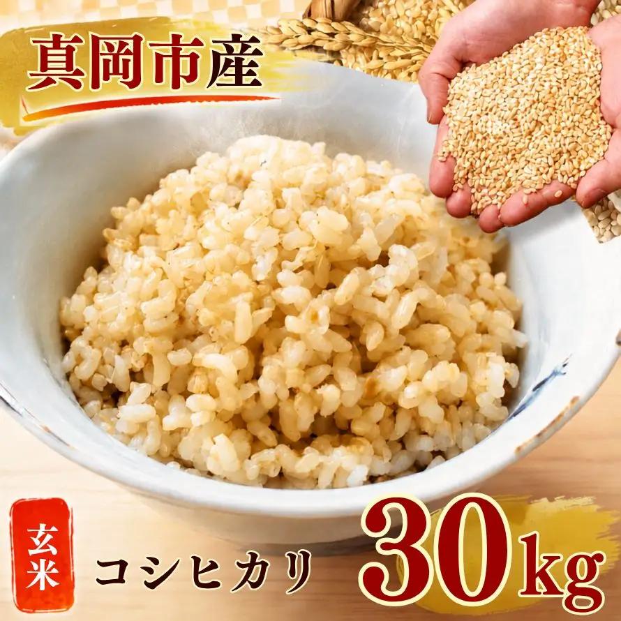 【令和8年産 先行予約】真岡市産 こしひかり 玄米 30kg 