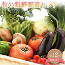 【ふるさと納税】定期便 旬の新鮮野菜詰め合わせ 8種以上 全12回【野菜セット】 | 野菜 やさい 食品 人気 おすすめ 送料無料