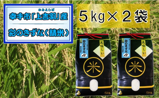 
【令和6年産米】食味Aランク継続中の銘柄 彩のきずな 精米10kg
