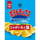 【ふるさと納税】湖池屋　ポテトチップス　じゃがいもと塩　27g×24袋