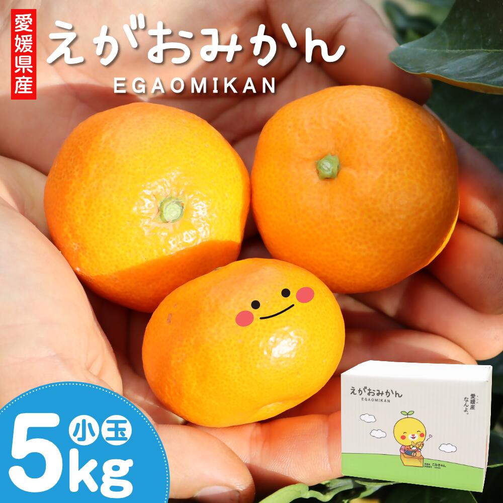 【ふるさと納税】えがおみかん 南柑20号 約5kg 3S～Sサイズ 約100～120玉 柑橘 かんきつ 温州みかん みかん 蜜柑 ミカン フルーツ 果物 くだもの お取り寄せ デザート おやつ 国産 愛媛県 常温 送料無料 【2024年12月上旬～2025年1月上旬発送】 (562)