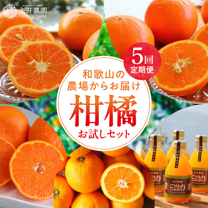 ZS69008_お試し柑橘定期便【5回定期便】潮