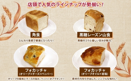 自家製酵母パン 人気の定番セット Lサイズ パン 道産 小麦 惣菜パン 菓子パン フォカッチャ ベーグル プレッツェル 角食 山食 朝食 軽食 手づくり 自家製 酵母 人気 詰め合わせ 冷凍 北海道 