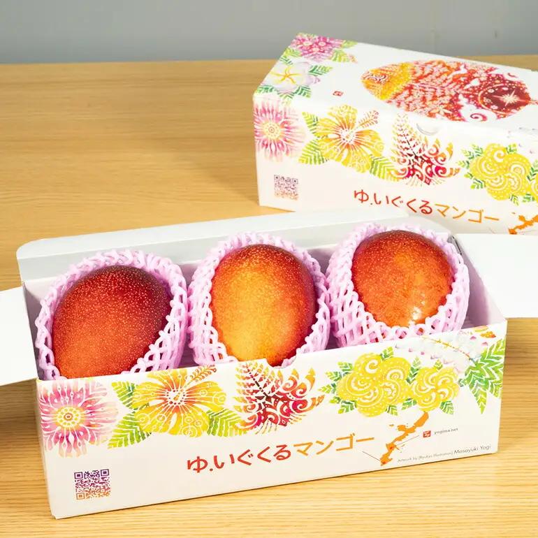 【 先行予約 2027年 発送 】 沖縄県 糸満産の「 濃厚 アップルマンゴー 」1kg オリジナル 贈答用 化粧箱入り 沖縄県産 マンゴー 完熟マンゴー 果物 くだもの フルーツ 完熟 夏 旬 沖縄