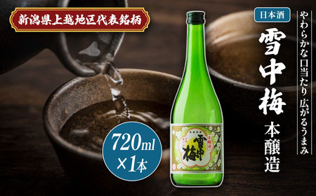 雪中梅 日本酒 本醸造 720ml おすすめ 日本酒