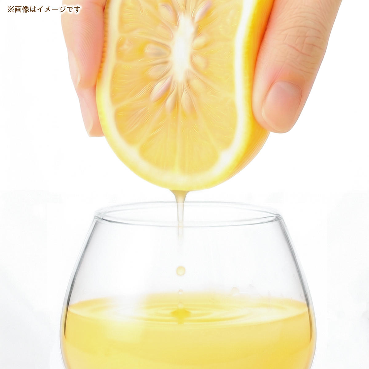 高知県 土佐市産 KONATSU JUICE KJ 100％ 500ml (1本) 小夏ジュース ジュース 果物 フルーツ フルーツジュース お取り寄せ ドリンク 高知県 土佐市【川野果樹園】 [BQ