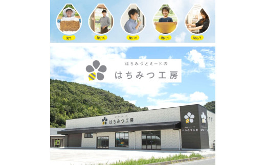 巣蜜（コムハニー）入り 蜂蜜 4点ギフトセット｜コムハニー150g 巣蜜入り蜂蜜140g 百花蜂蜜200g はちみつキャンディ5個｜国産 純粋はちみつ 無添加 天然 贈り物 プレゼント｜メディア紹介多数 はちみつ工房｜千葉県 君津市