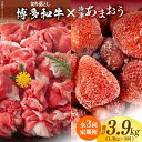 【ふるさと納税】【全3回定期便】【訳あり】博多和牛 切り落とし ＆ あまおう セット1.3kg《築上町》【株式会社MEAT PLUS】41000円 [ABBP106]
