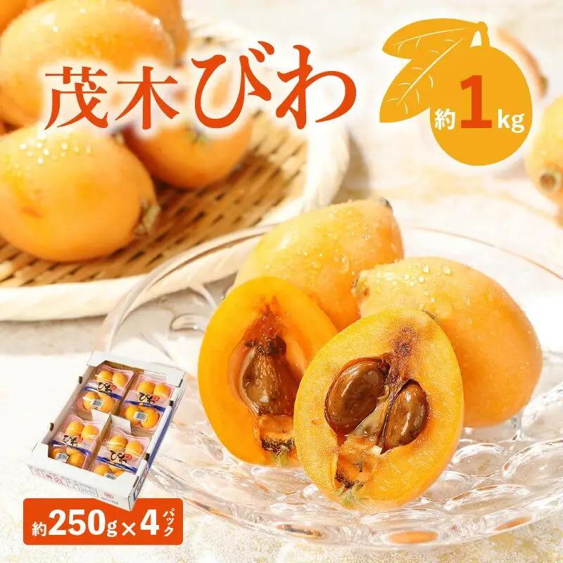 茂木びわ 約1kg (約250g×4パック)【2026-5月中旬～2026-6月中旬配送】| びわ