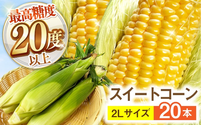 【最高糖度20度以上！】とうもろこし 2Lサイズ 20本 / ゴールドラッシュネオ トウモロコシ コーン スイートコーン / 南島原市 / 三和サービス株式会社[SGB009]