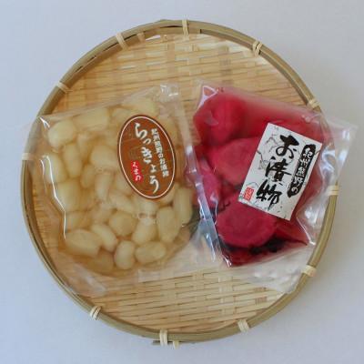 ふるさと納税 田辺市 らっきょうの甘酢漬け100g×3・しょうがのしそ漬80g×3セット【ksn008-1】 |  | 02