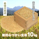 【ふるさと納税】【希望月発送】美味しい玄米でお届け！栄村産コシヒカリ最高評価特A米「心づかい」10kg（令和6年産）