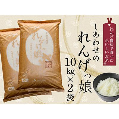 ふるさと納税 枚方市 しあわせのれんげっ娘  (精米) 10kg×2本