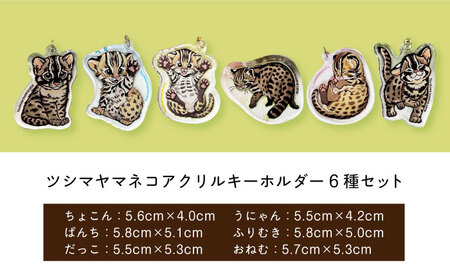 対馬 オリジナル ツシマヤマネコ 両面 アクリルキーホルダー 6種セット ≪対馬市≫【一般社団法人MIT】  対馬山猫 アクキー お土産 にゃんこ 赤ちゃん[WAP018]