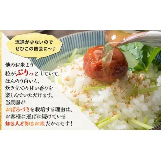 《令和 7 年産》お米 おぼろづき 5kg｜『100%自家生 産精米』善生さんの自慢の米 ※一括発送 北海道 岩見沢市【06121】 