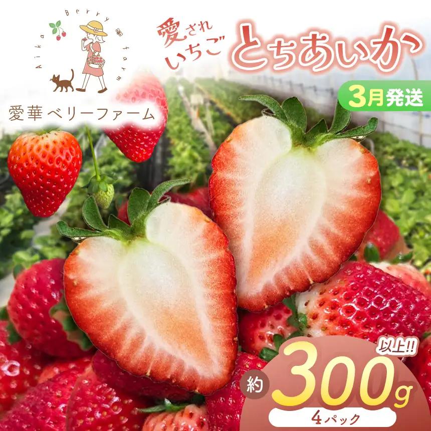 2027年先行予約【3月発送】いちご王国の愛され苺 とちあいか 300ｇ以上4パック（平パック）