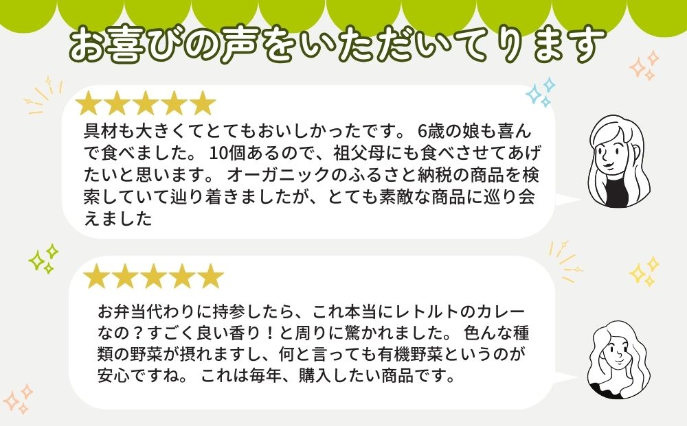 農家のたっぷり野菜カレー ３０個／山口農園 有機野菜 オーガニック 伝統野菜 レトルト 詰め合わせ カレー ギフト カレーセット スパイス 飯 キャンプお取り寄せ 奈良県 宇陀市 送料無料 おかず ご