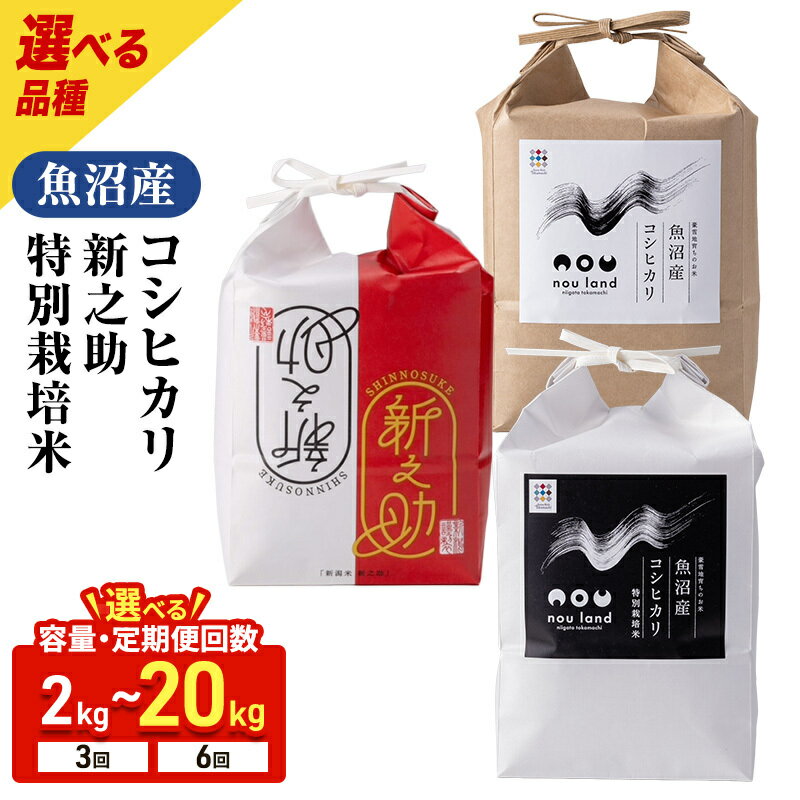 【ふるさと納税】【選べる先行予約】令和8年産 魚沼産コシヒカリ 新之助 特別栽培米 2kg～ 定期便　お届け：コシヒカリ・特別栽培米：2026年10月上旬～出荷開始新之助：2026年11月上旬～出荷開始