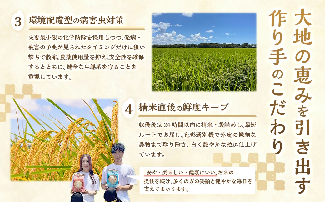 静岡県産コシヒカリ玄米5kg×1袋