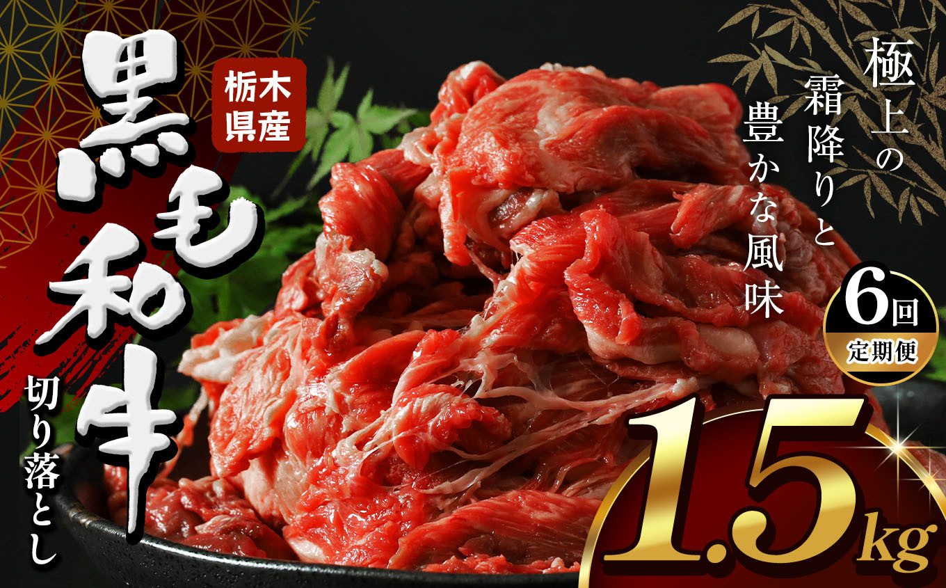 
【定期便6回】 栃木県産牛 黒毛和牛 切り落とし 1.5kg | 黒毛 和牛 牛肉 焼肉 とろける 霜降り 赤身 切り落とし ふるさと 納税 イチオシ おすすめ 栃木県 下野市 しもつけ市
