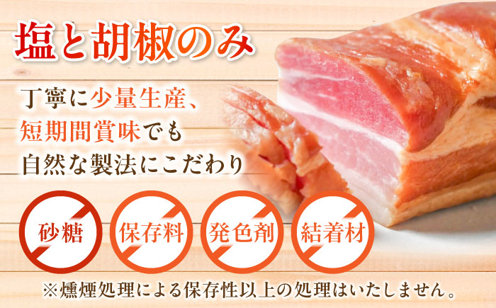 無添加燻製セットC 5種セット  / ベーコン ソーセージ 手羽先 ササミ むね肉 / 瀬戸市 /天佑 [BBBZ010]