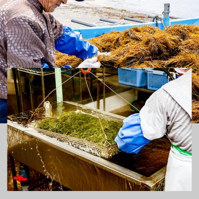 ふるさと納税 男鹿市 【定期便12ヶ月】ぎばさ(あかもく) 200g×10個セット 海藻|23_ogn-241012 |  | 03